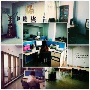 臺(tái)州神鷹信息咨詢服務(wù) 權(quán)威解讀與專業(yè)支持